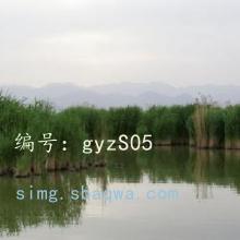 6110(s)